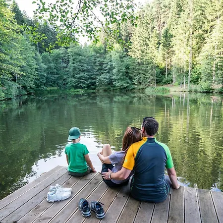 Tatil Evi 1modernes In Kaernten Am Millstaetter See, 85m2, Grill, 2 Baeder, Ideal Fuer Familien Und Paare Döbriach