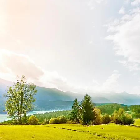 1modernes In Kaernten Am Millstaetter See, 85m2, Grill, 2 Baeder, Ideal Fuer Familien Und Paare Tatil Evi Döbriach