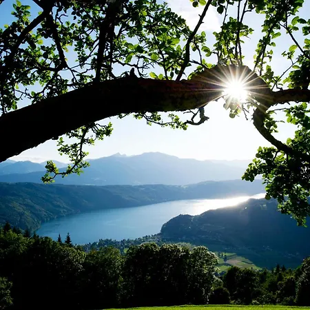 Casa vacanze Ferienhaus1 In Kaernten Am Millstaetter See, 85m2, Grill, 2 Baeder, Ideal Fuer Familien Und Paare *