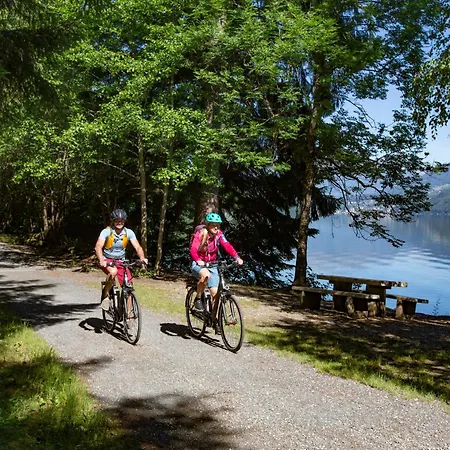 Ferienhaus1 In Kaernten Am Millstaetter See, 85m2, Grill, 2 Baeder, Ideal Fuer Familien Und Paare Casa vacanze Döbriach