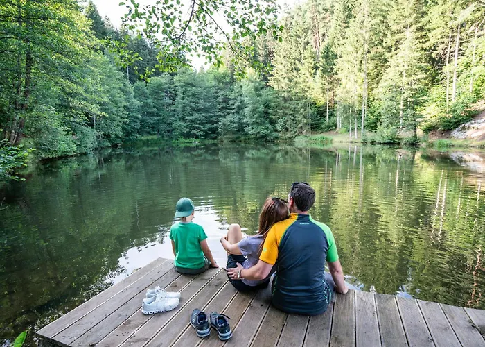 Ferienhaus Ferienhaus1 In Kärnten Am Millstätter See, 85m2, Grill, 2 Bäder, Ideal Für Familien Und Paare Döbriach