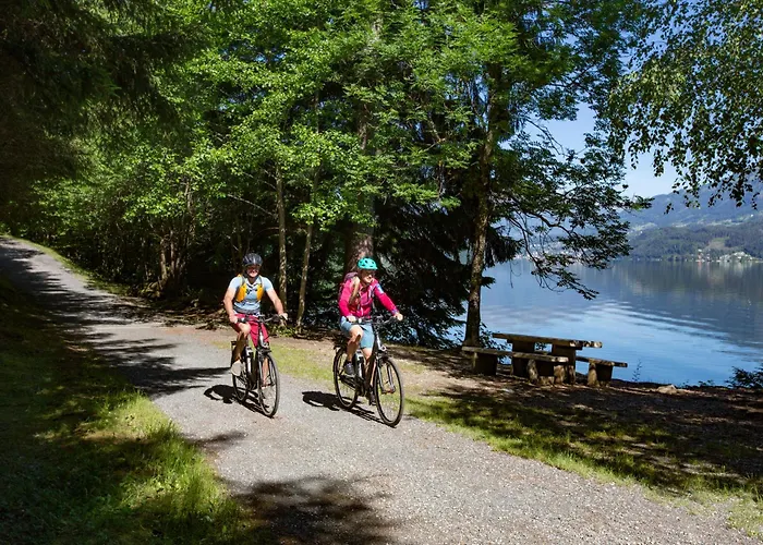 Ferienhaus1 In Kärnten Am Millstätter See, 85m2, Grill, 2 Bäder, Ideal Für Familien Und Paare Ferienhaus Döbriach